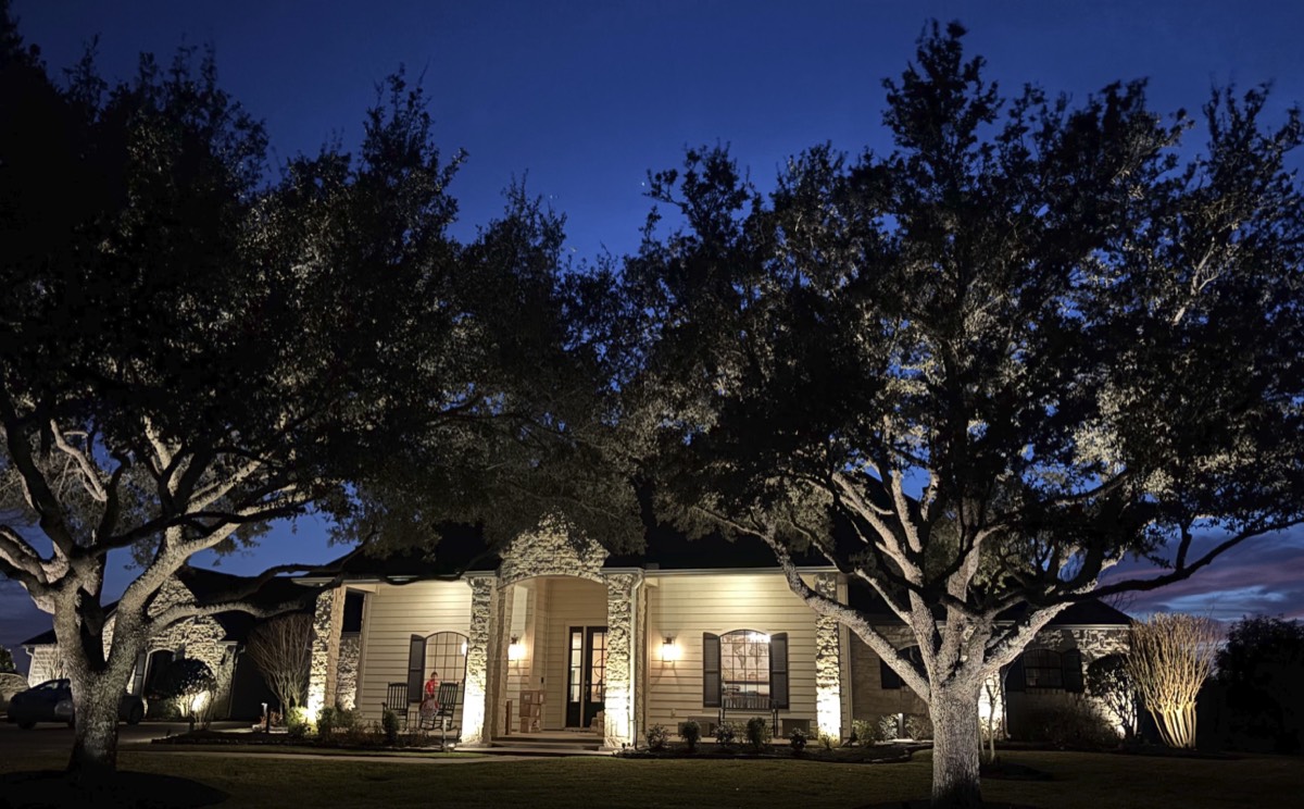 Tree Uplighting